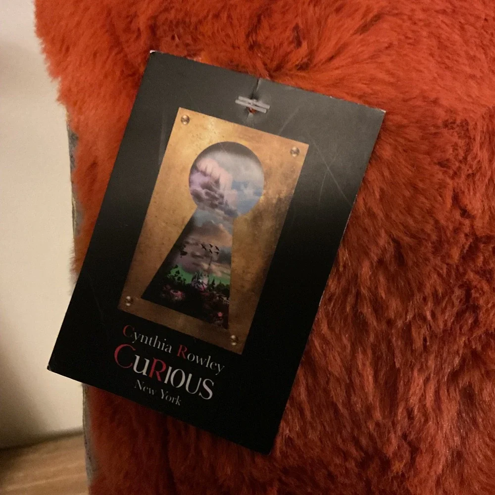 Cynthia Rowley Curious Halloween Haunted House Faux Fur Decorative Pillow NWT
